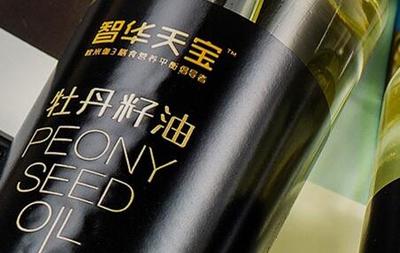 簽約潞安集團智華天寶品牌網(wǎng)站建設(shè)項目