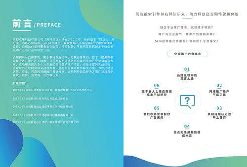 互聯(lián)網公司畫冊 點瑞科技